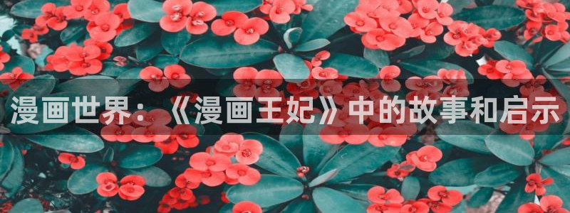 哔咔漫画登录不了：漫画世界：《漫画王妃》中的故事和启示